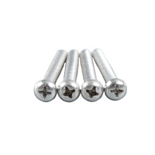 2021 Chinese new type stainless steel half round machine screw